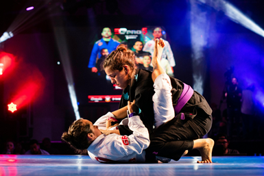 시합 준비, 시합 중 전략, 대회규칙