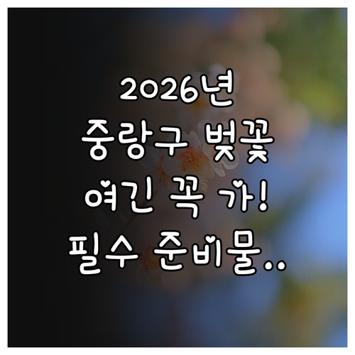2026년 서울 벚꽃 구경 중랑구 축..