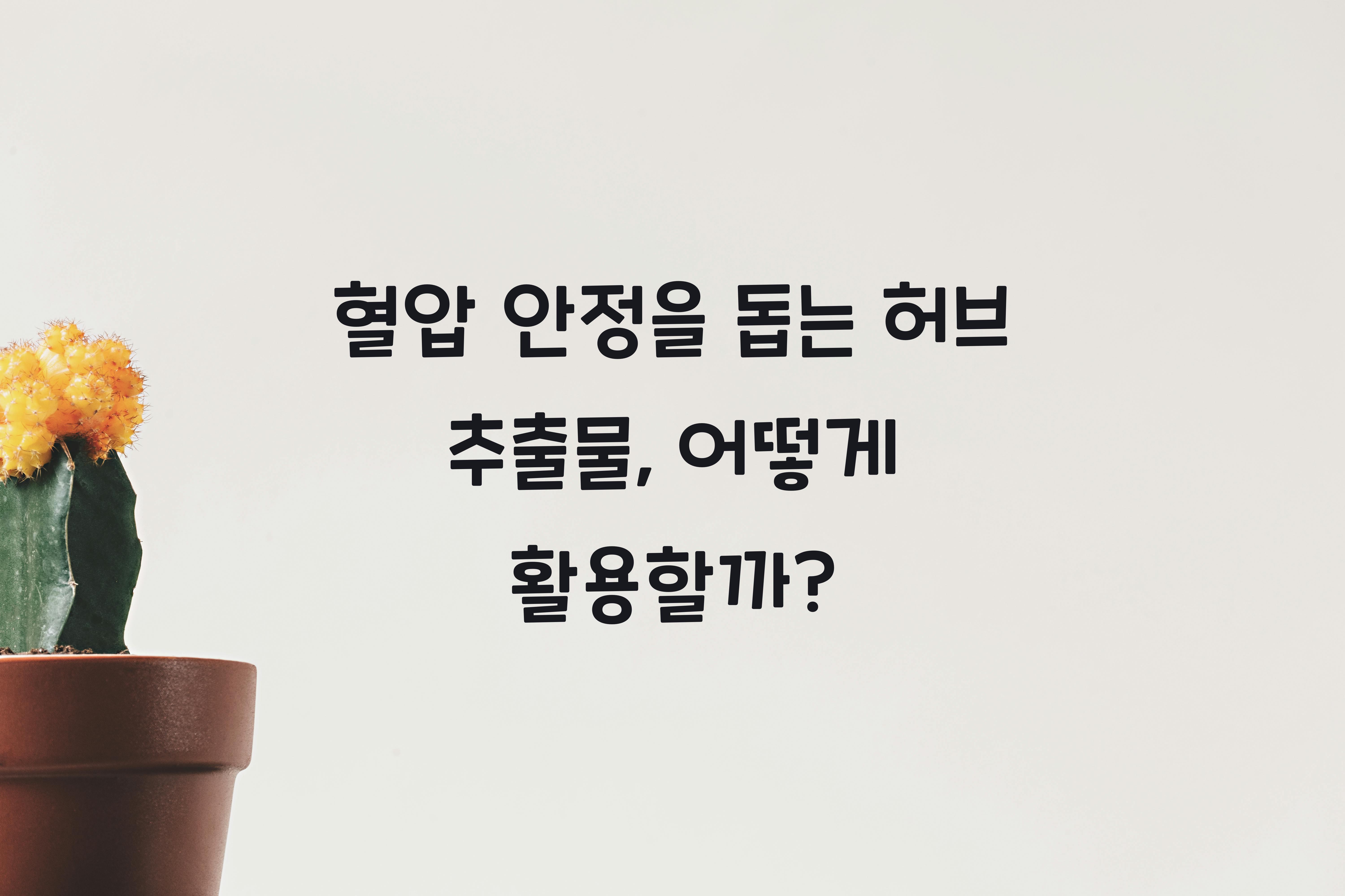 혈압 안정을 돕는 허브 추출물