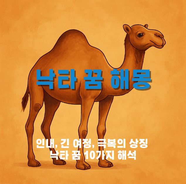 낙타 한마리