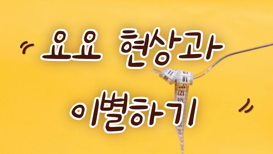 요요 현상