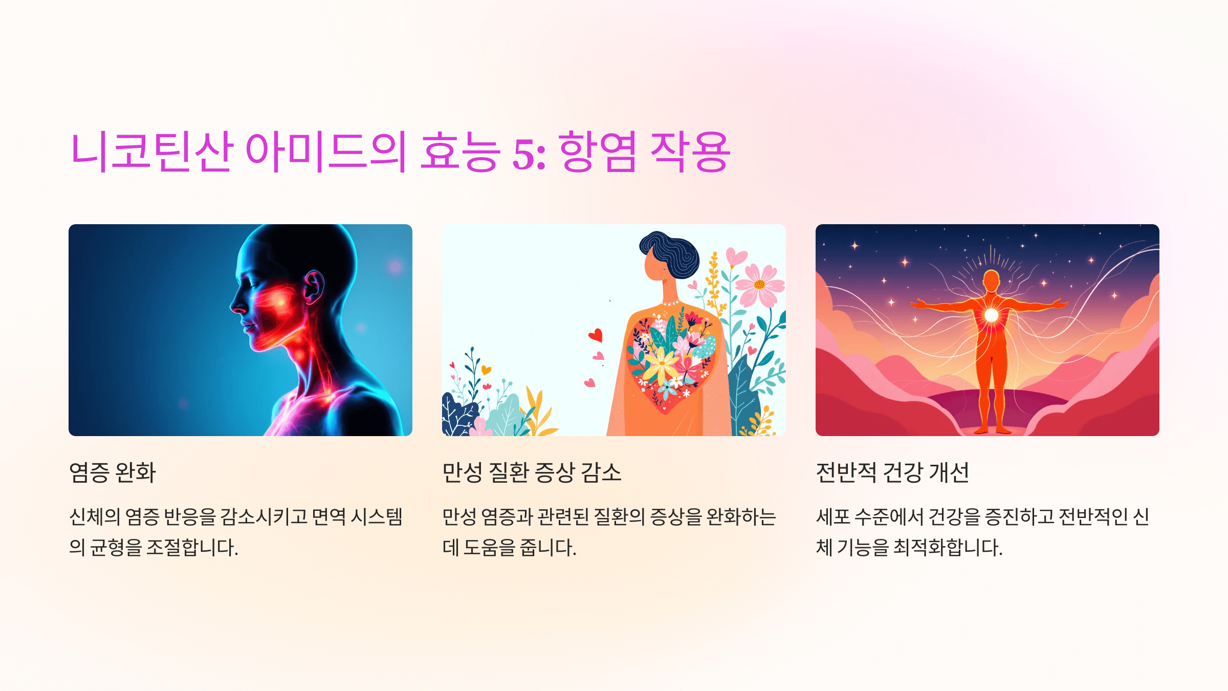 니코틴산 아미드와 관련된 사진입니다.