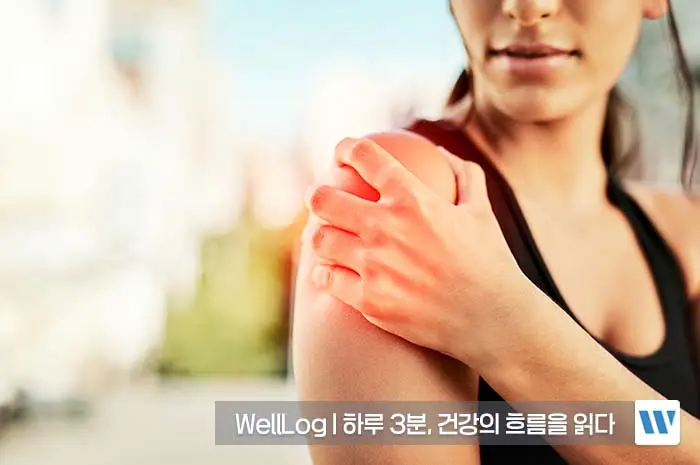 난각막가수분해물 효능, 복용법