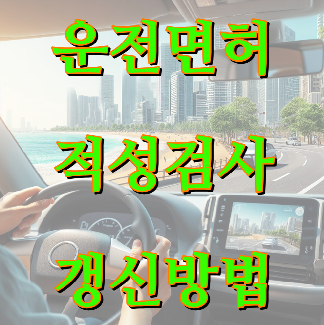 운전면허적성검사