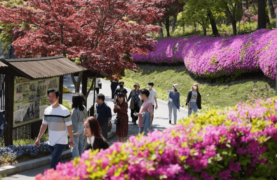 청남대 영춘제 입장료 홈페이지 예약접수 봄꽃축제