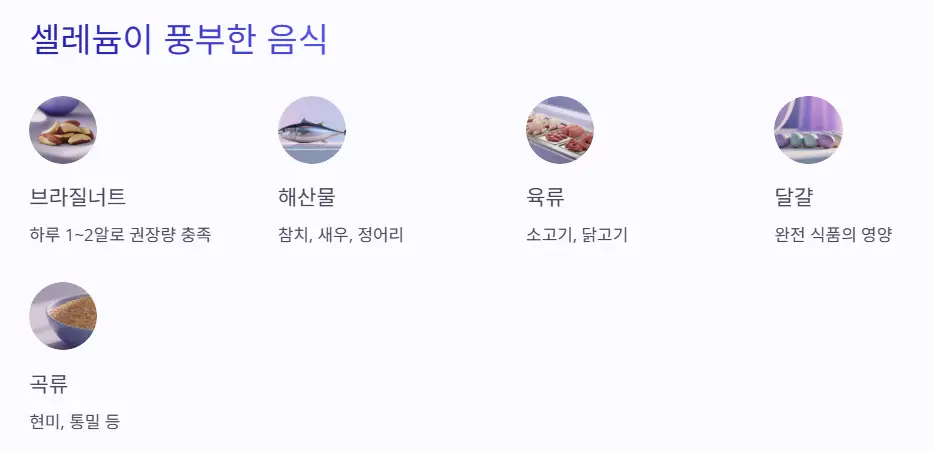 풍부한 음식들