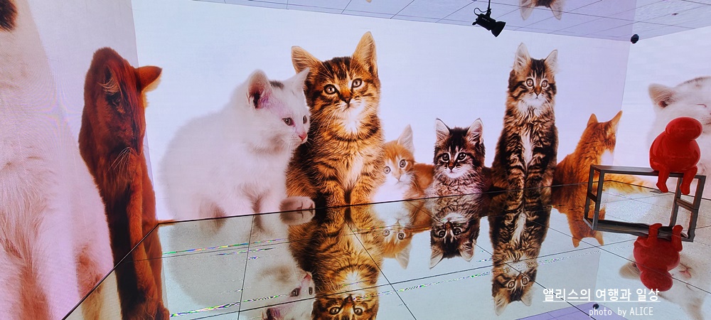 해운대 뮤지엄원 치유의기술, 부산 실내 가볼만한곳, 부산 전시 + 33% 할인예약방법