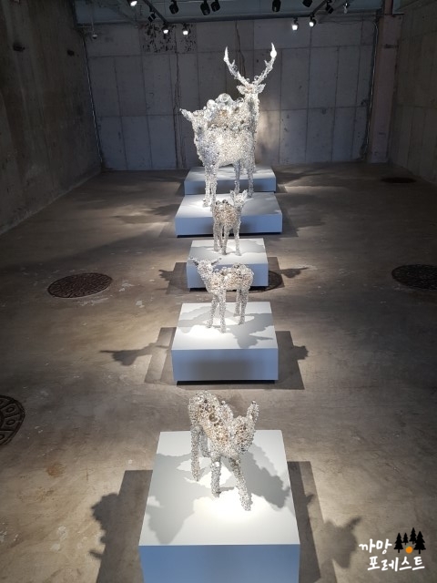 아라리오 뮤지엄 사슴가족