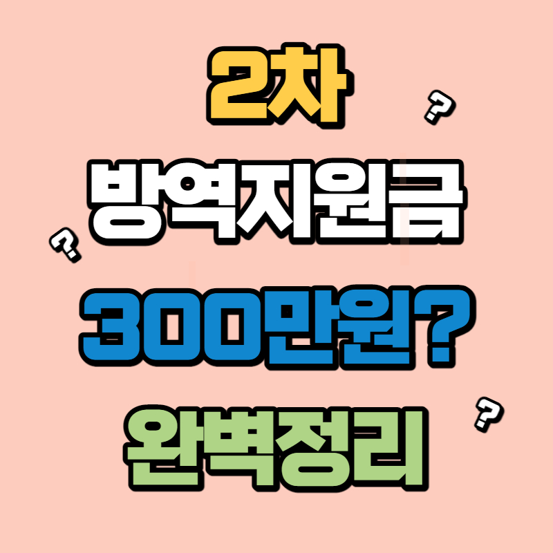 2차 방역지원금 (1)
