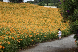 대만-5월-날씨-옷차림