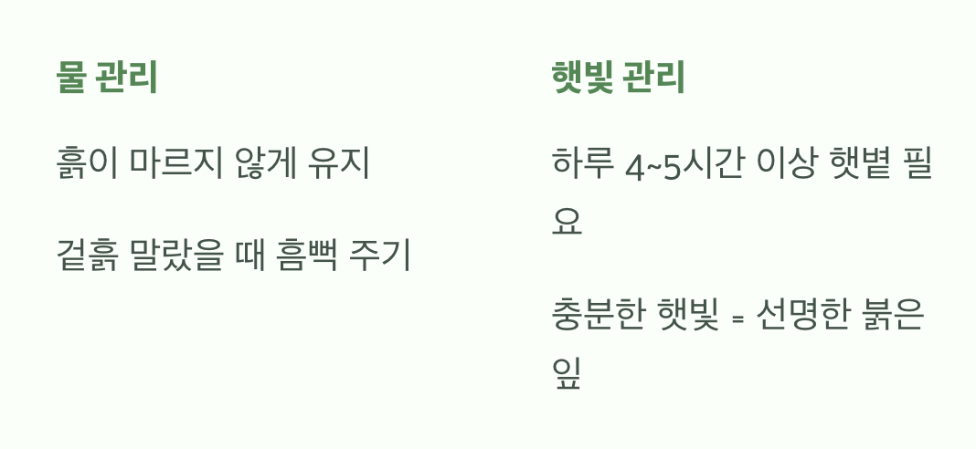 물과 햇빛, 가장 기본적인 관리