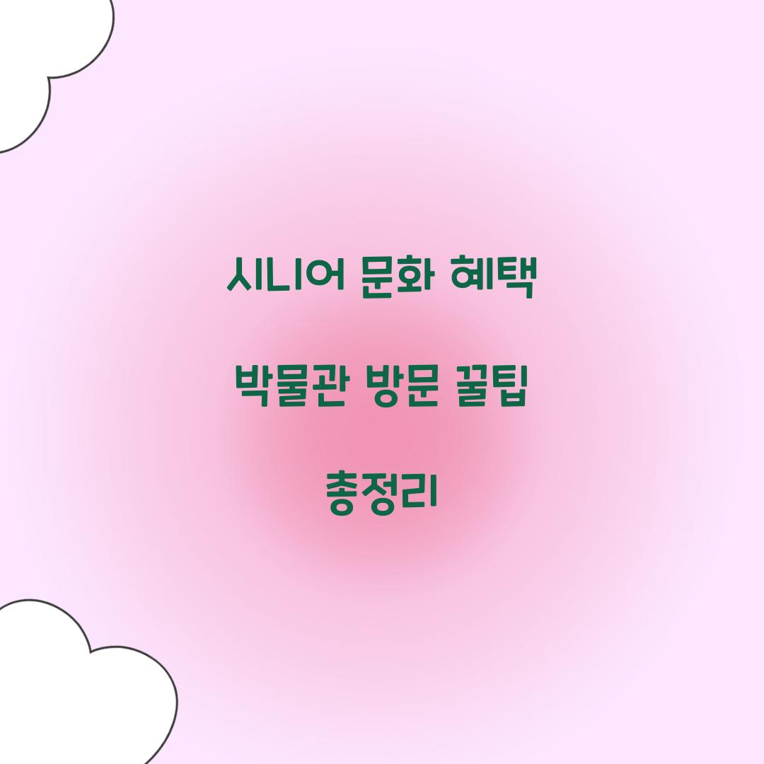 시니어 문화 혜택 박물관