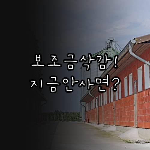 2026년 테슬라 모델Y 보조금 축소..