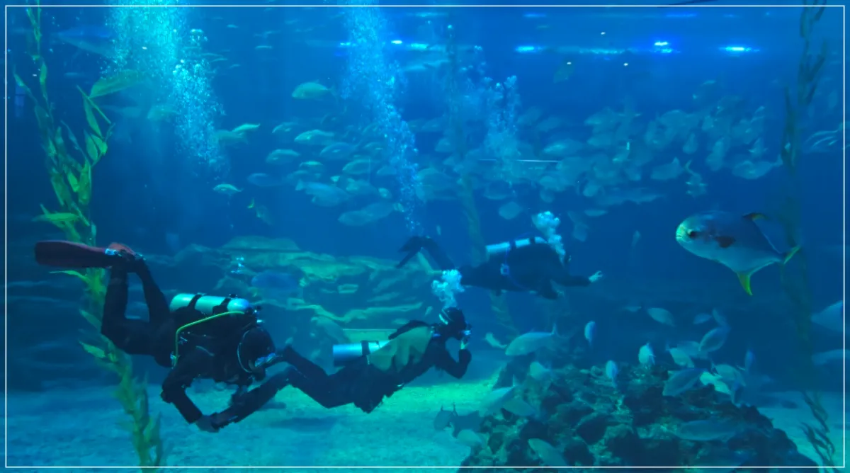 대형수조-다양한 물고기