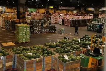 가락동 농산물 경매시세 실시간 확인 완벽 농산물 정보_15