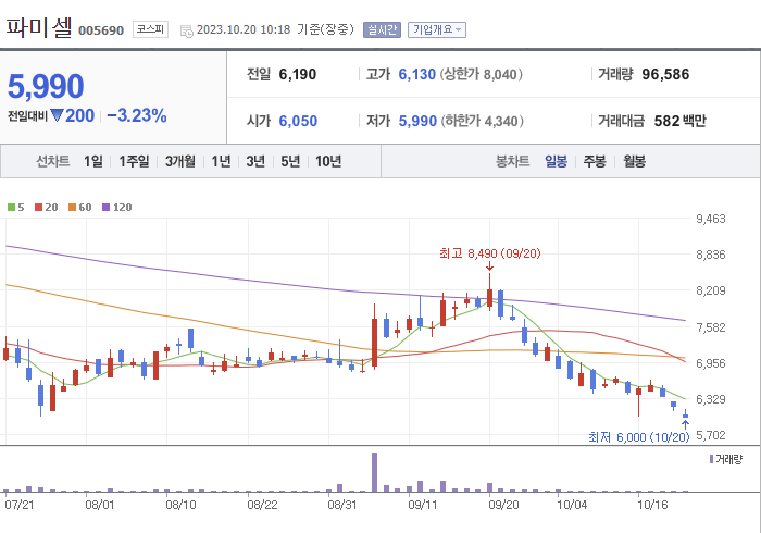 파미셀 3개월 주가(일봉)