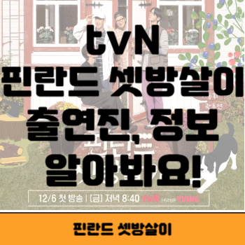 핀란드 셋방살이 썸네일