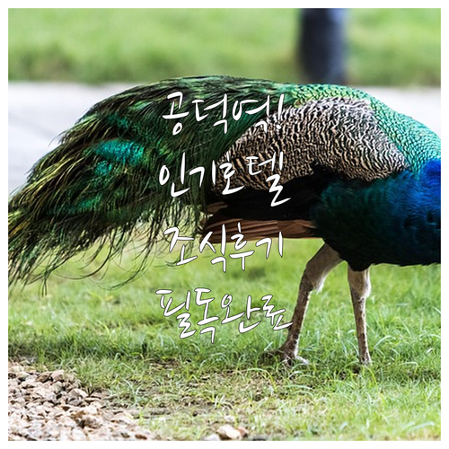 서울 마포 공덕역 인근 인기 호텔 5..