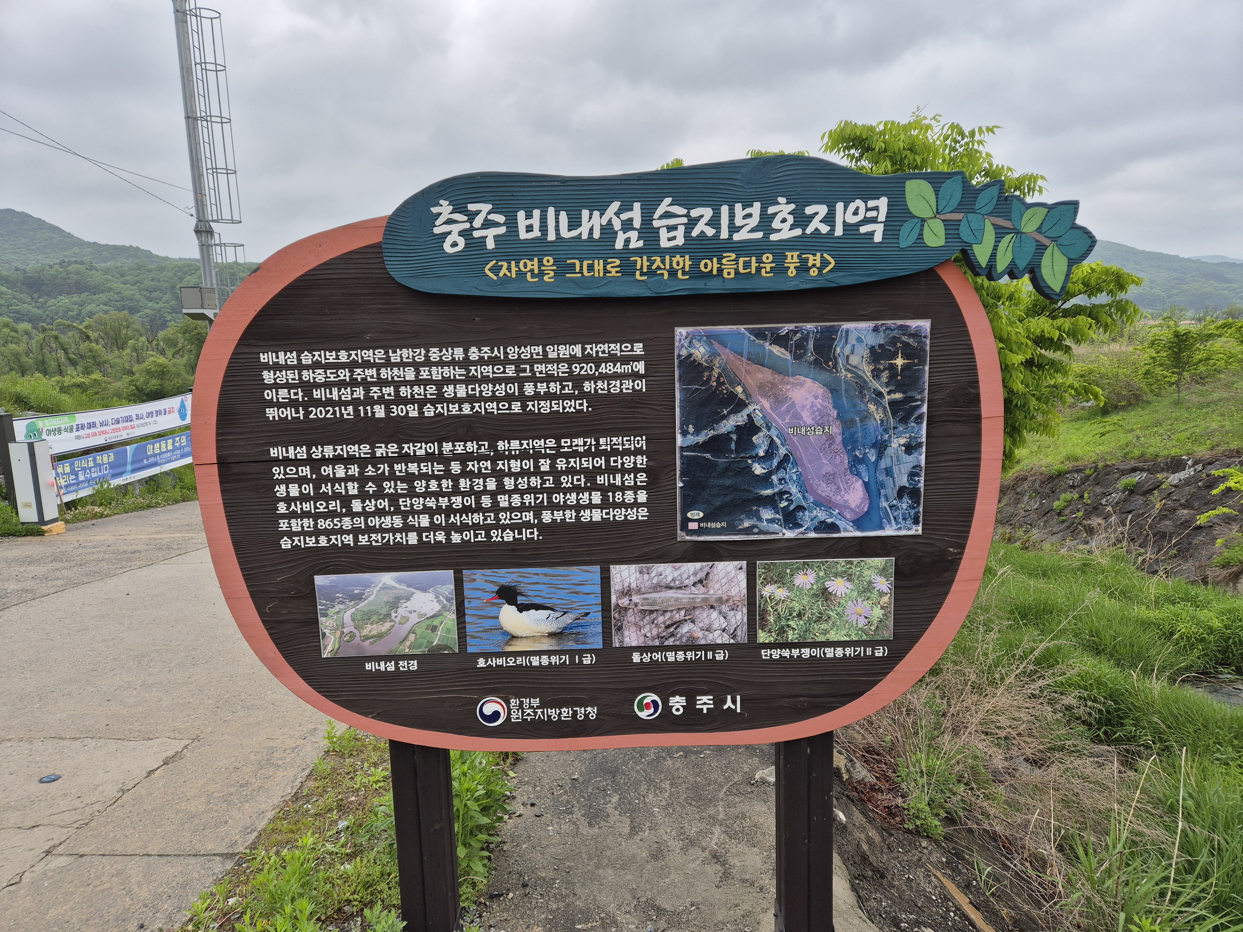 충주 비내섬 습지보호지역