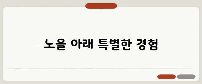 대천해수욕장 국민여가캠핑장, 바다를 걷고 노을을 만나는 법