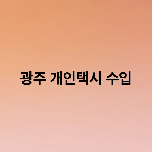 광주 개인택시 수입