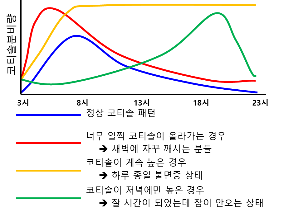 코티솔 분비량 비교