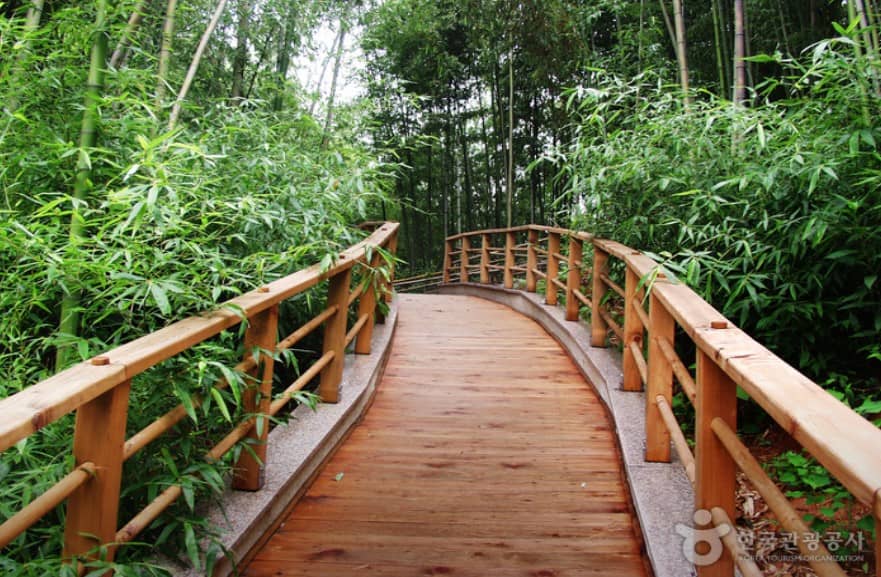 담양-죽녹원의-다리