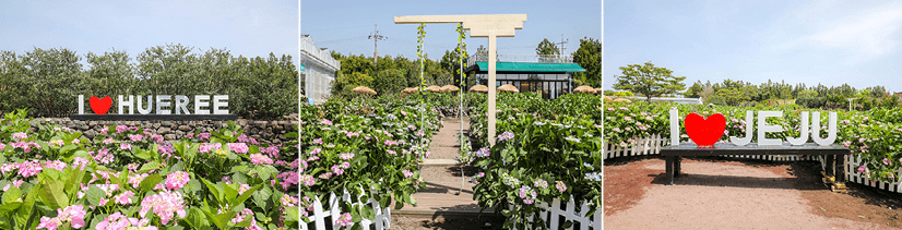 휴애리 자연생활공원