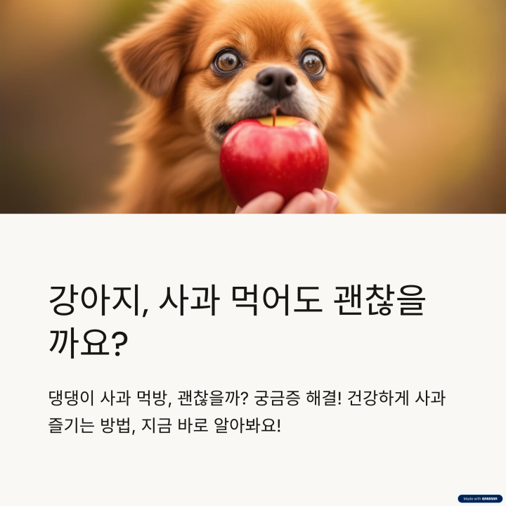 사과 급여법