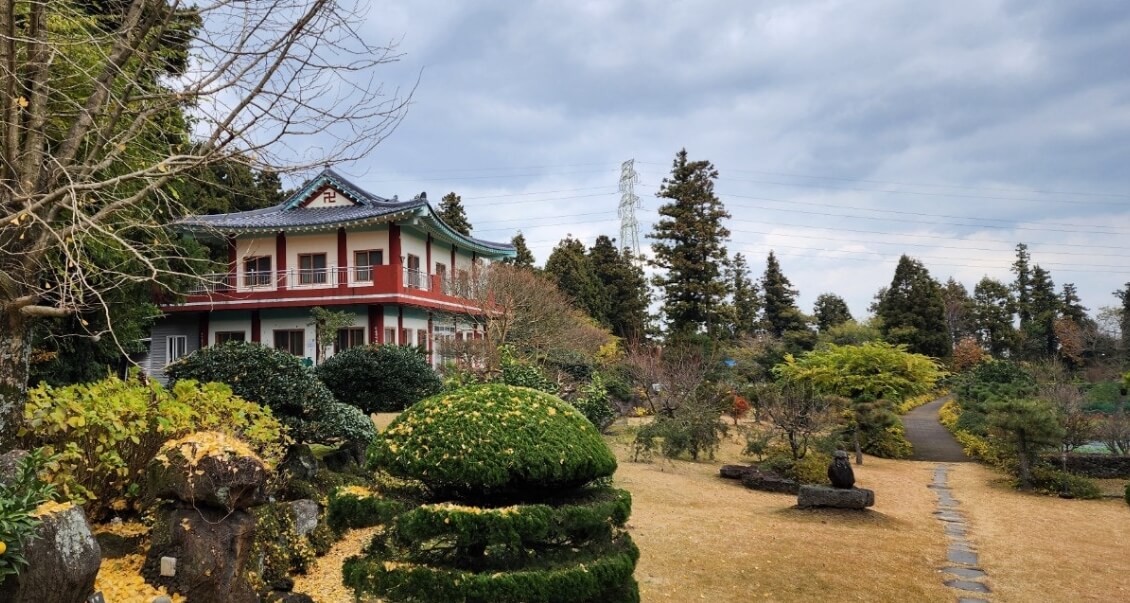 제주 남국사 : 삼나무 길과 수국이 아름다운 비밀 정원 제주 시내 작은 절