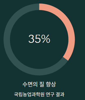 겨울 보약 같은 차 TOP3