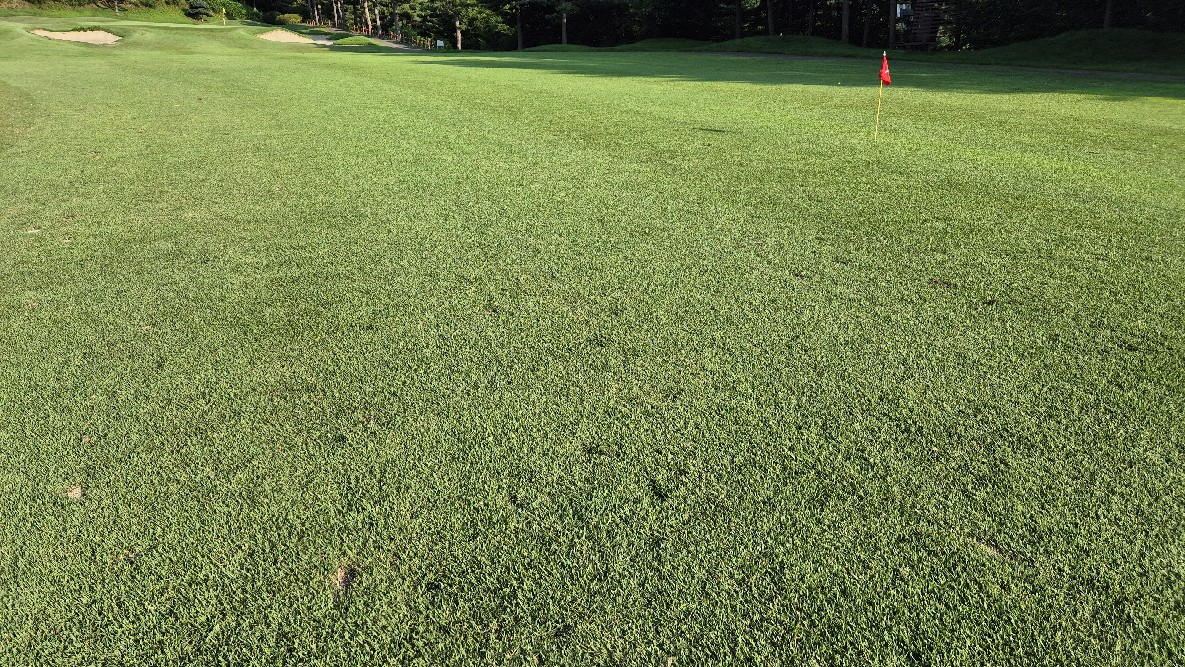 태광cc 북-서 코스 라운드 후기