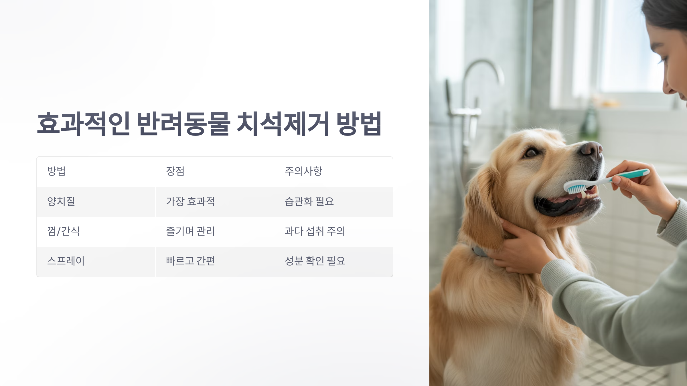 참조-반려동물-치석제거-4
