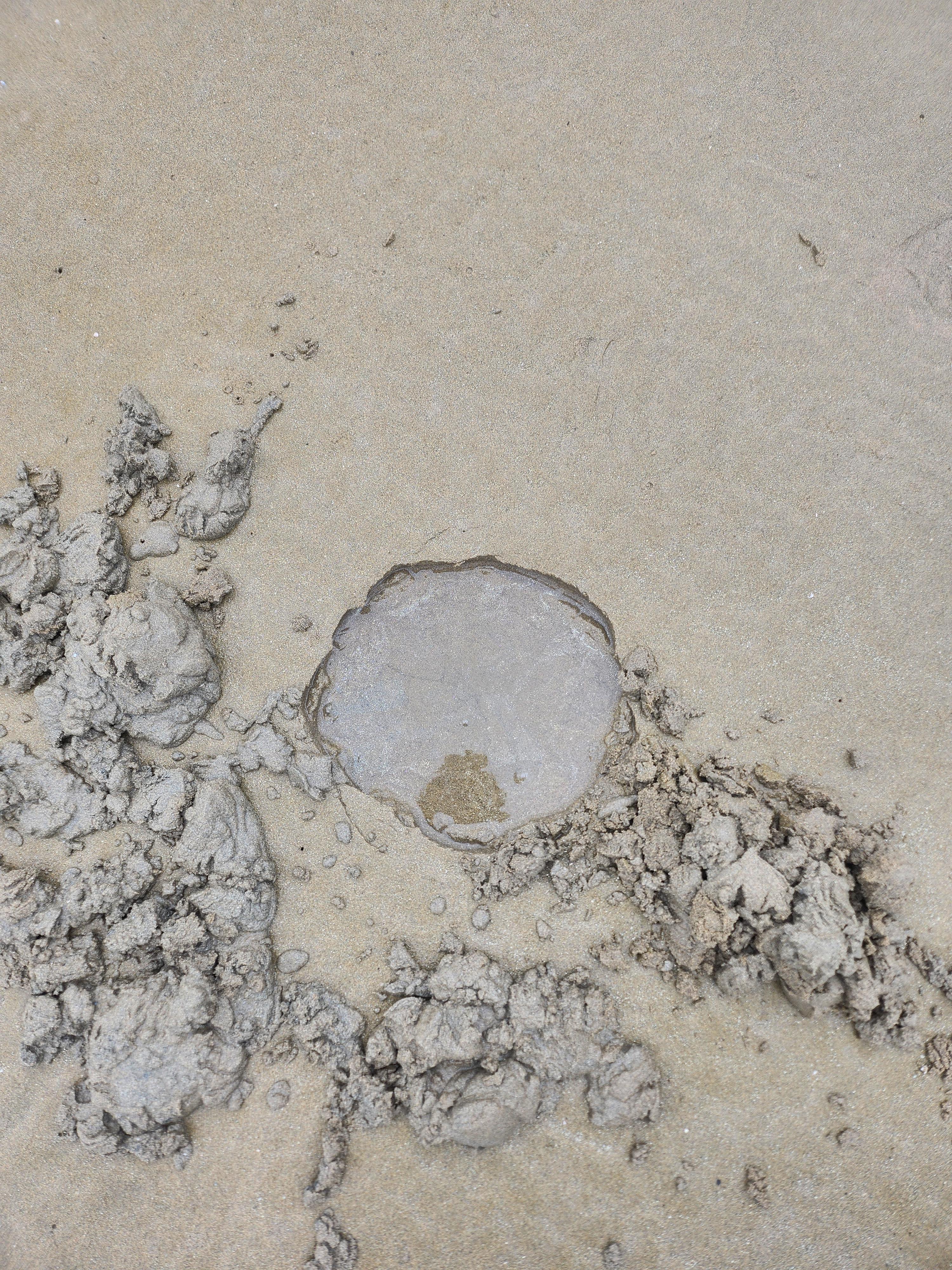 다대포 해수욕장 갯벌