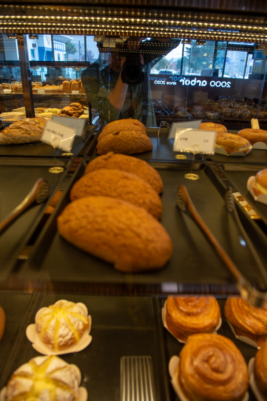 이천 카페 추천 - 대형 베이커리 카페 아르보르