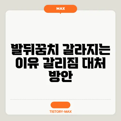 발뒤꿈치 갈라지는 이유 갈리짐 대처 방안