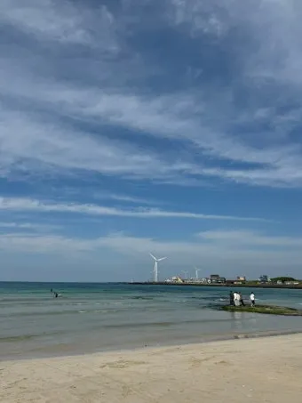 제주 월정리 카페 추천 감성 인테리어와 베이커리 소개_22