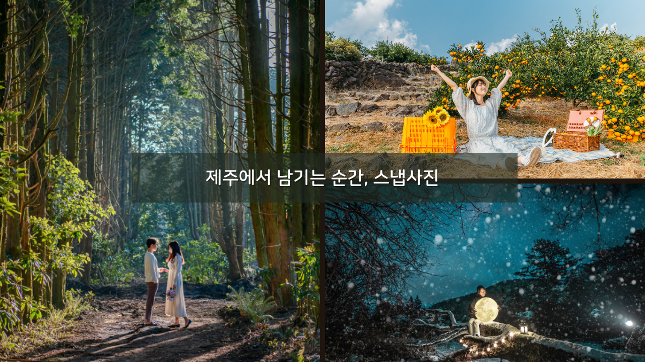제주 일반 웨딩 스냅 시간 견적 가격 자세히 보기