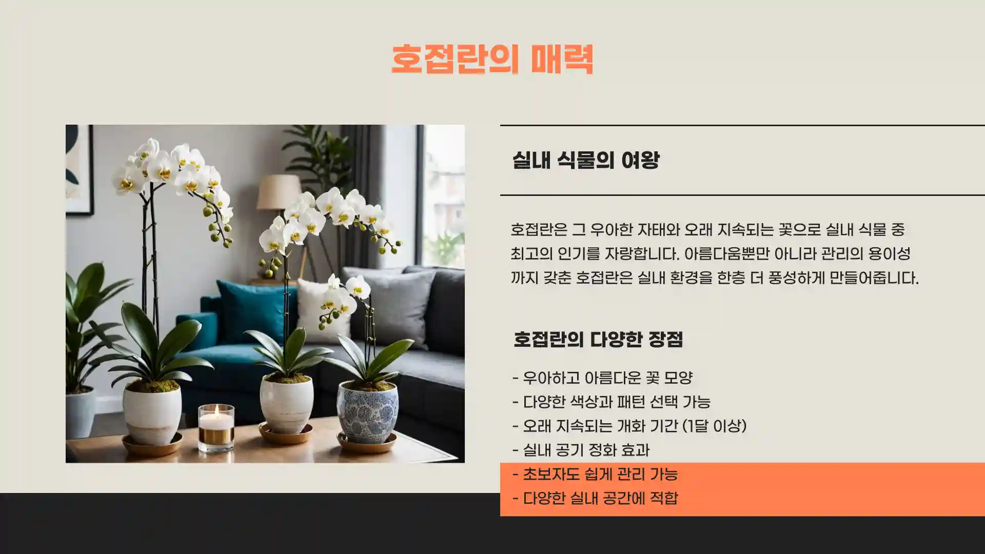 호접란 키우는 법 물주는 방법