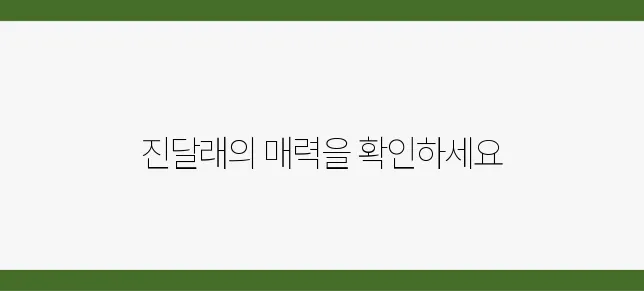 2025년 여수 진달래축제, 놓치면 후회할 만한 정보들을 모았습니다!
