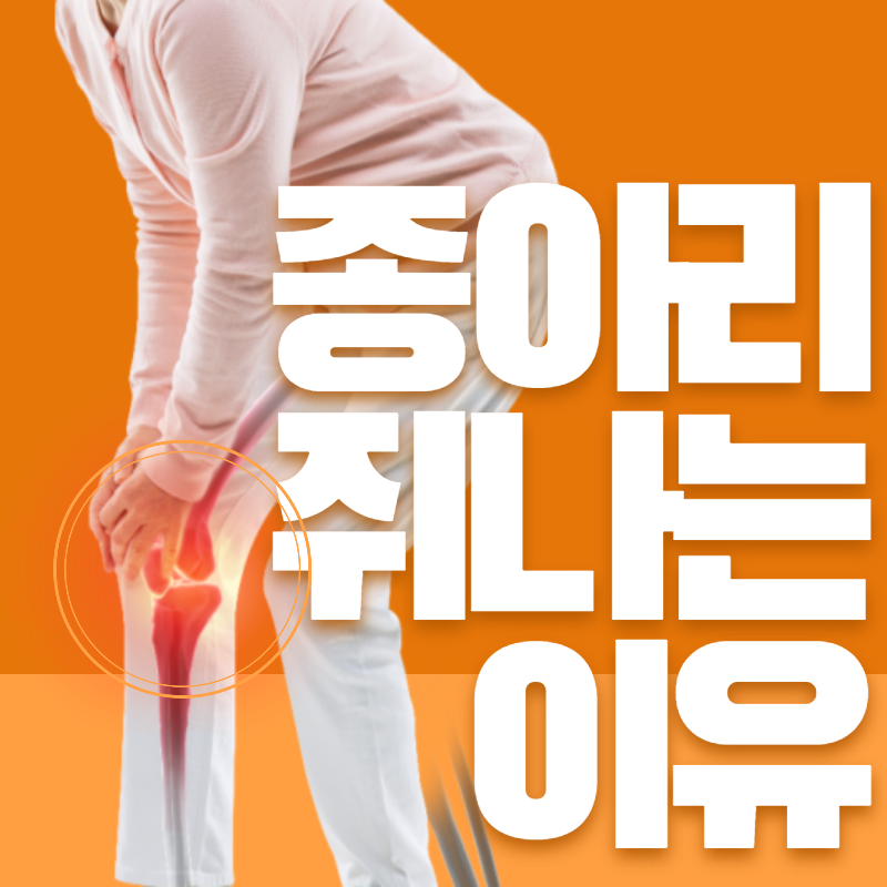 종아리 쥐나는 이유