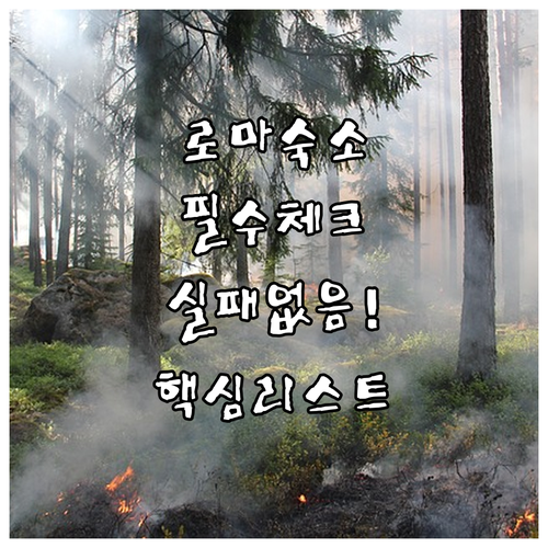 로마 자유여행 숙소 결정할 때 꼭 확..