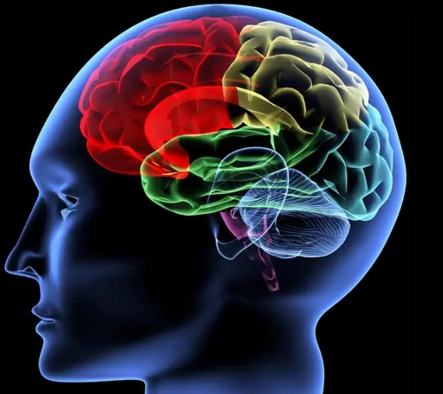 뇌출혈 수술 후유증 