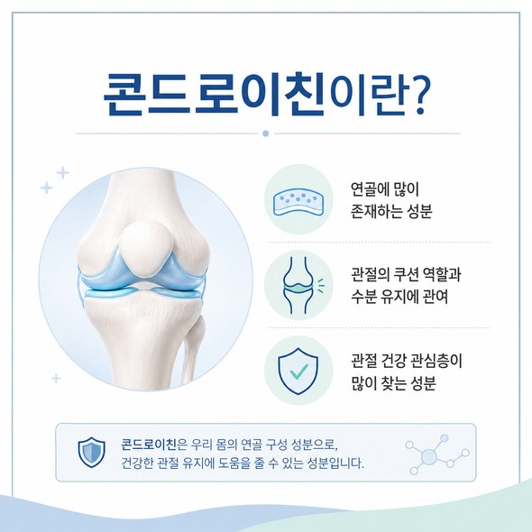 콘드로이친 효능