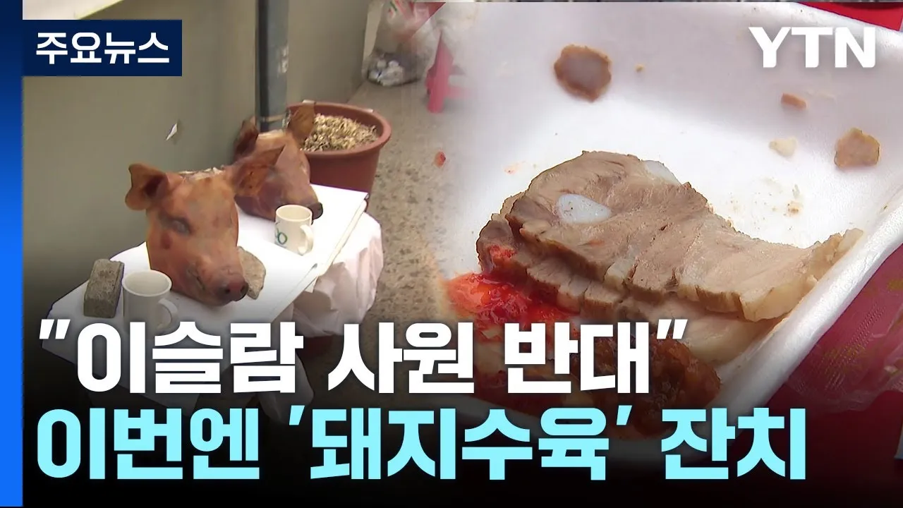 역사속의 미스터리 무슬림이 돼지고기 먹지 않는 이유_6