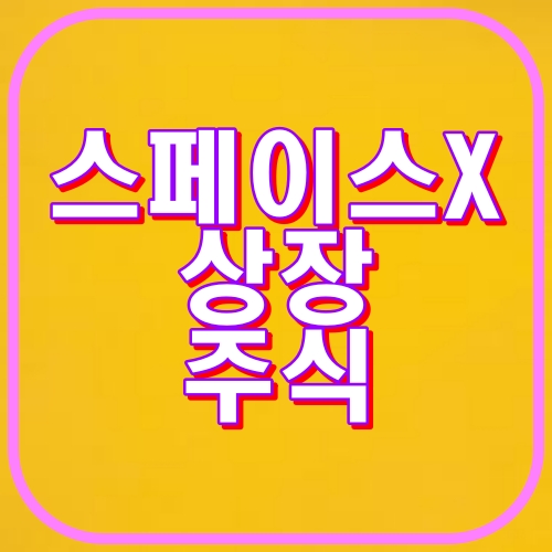 스페이스X 상장 주식