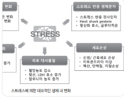 호흡·명상과 RUNX3