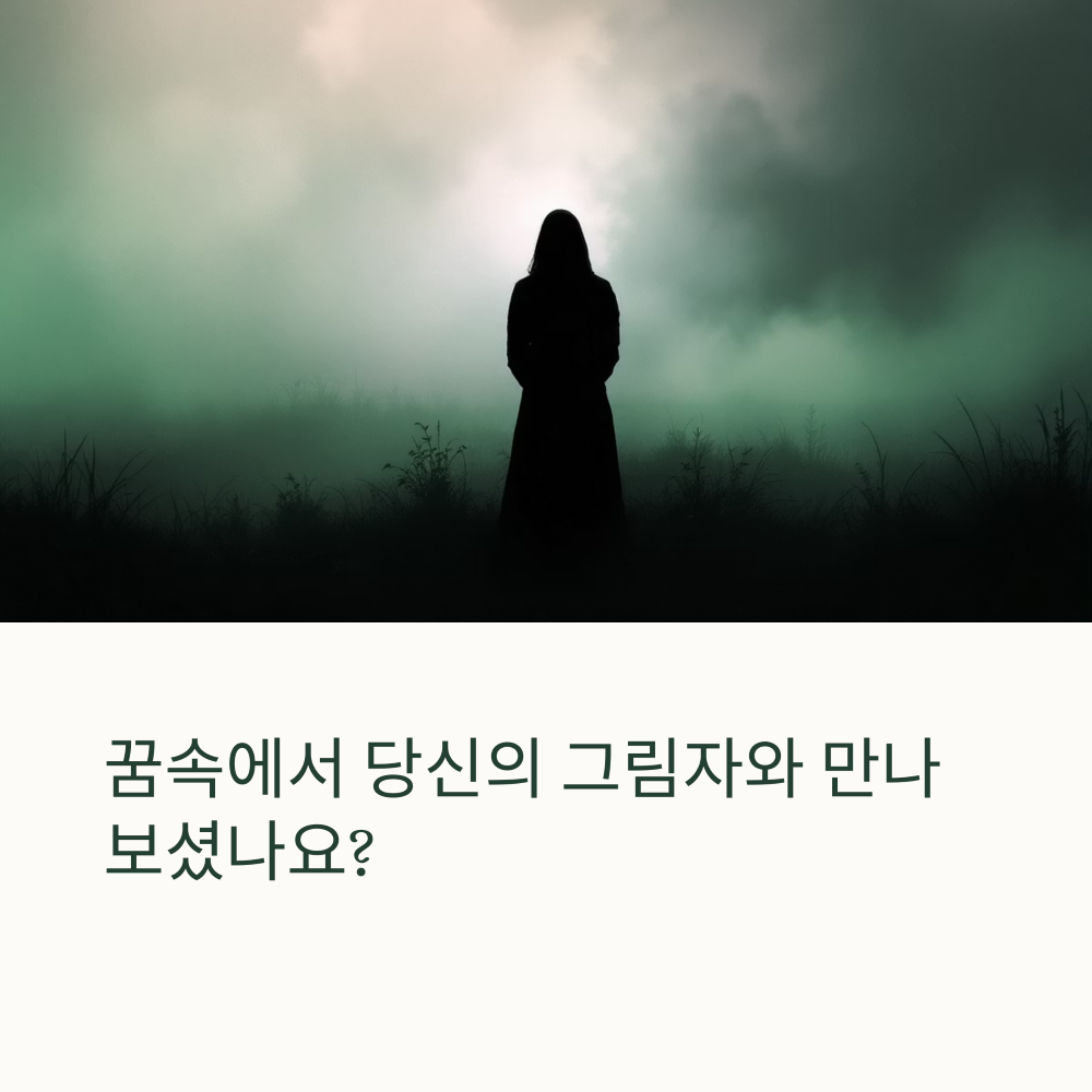 그림자와 대화하는 꿈