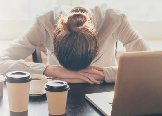 공진단-효능-효과