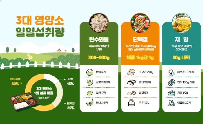 3대 영양소, 탄수화물, 단백질, 지방